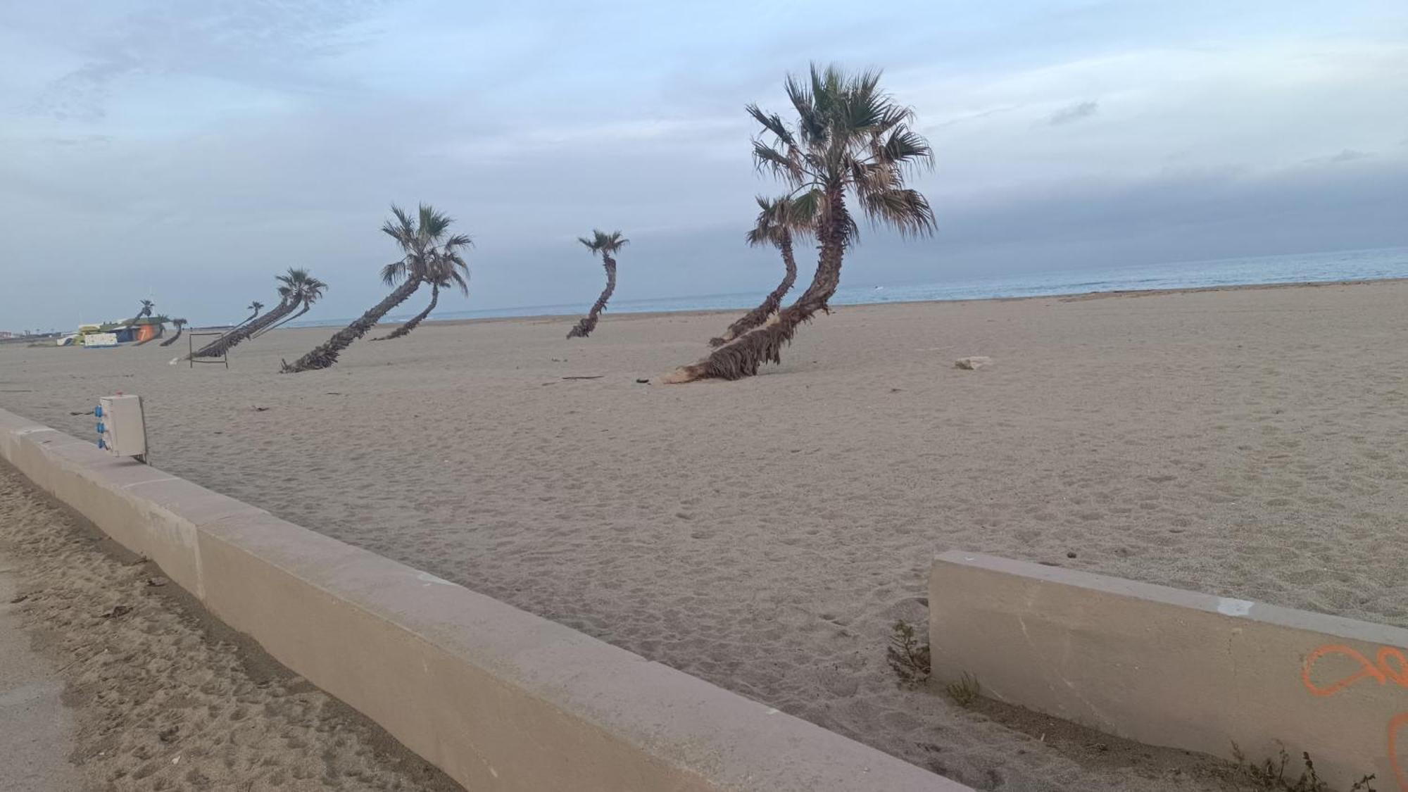 Les 2 Dauphins Apartment Le Barcares Bagian luar foto